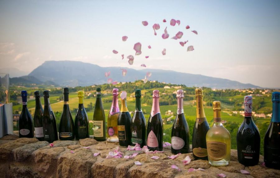 Cinquanta cantine a Prosa “Prosecco & Rosa”