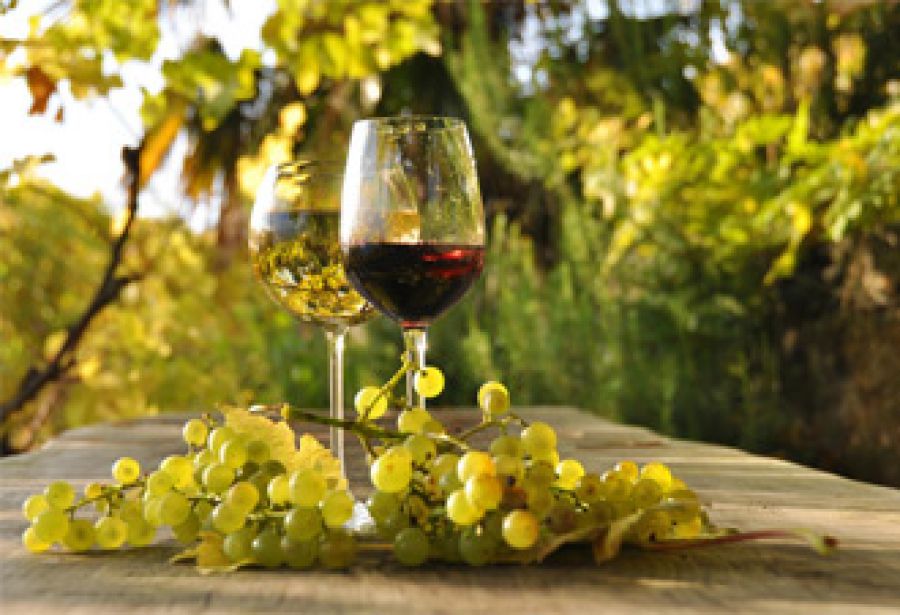 Il vino biologico e biodinamico, se ne parla a Montepulciano (Siena)