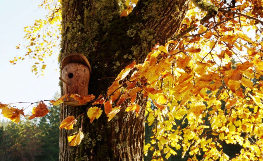 I dieci appuntamenti di DiVin Ottobre
