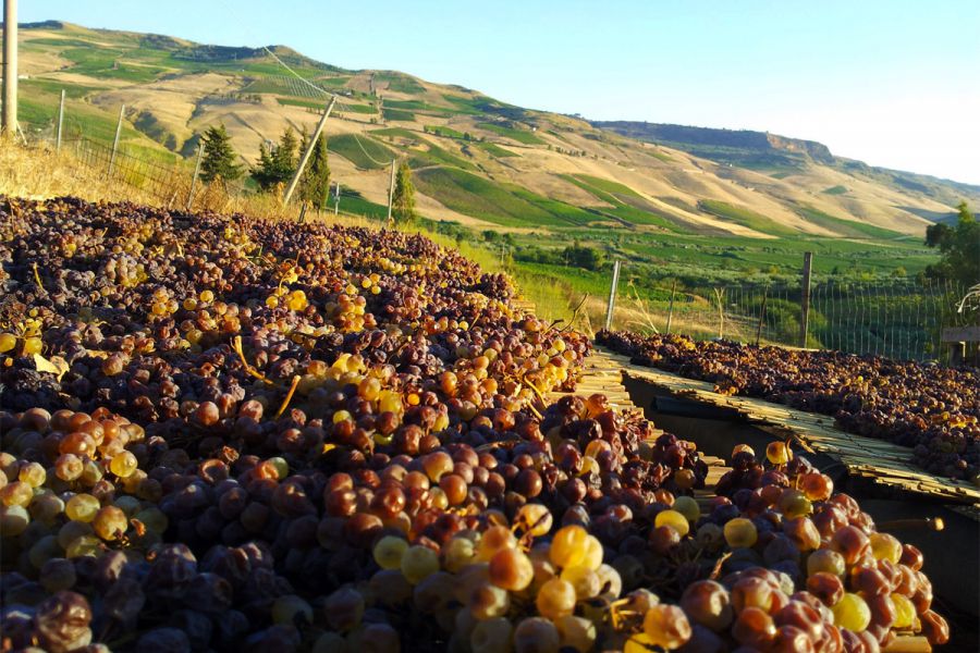 Passiti che passione! A Bertinoro
