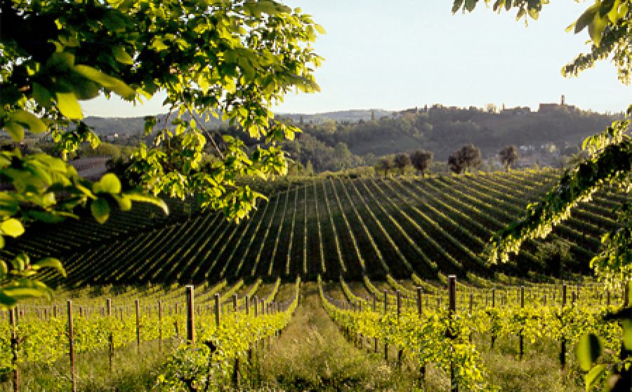 Prosecco Superiore, presentazione all'Europa