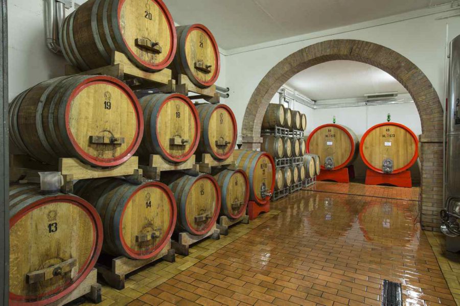 Il Grappolo a Benvenuto Brunello