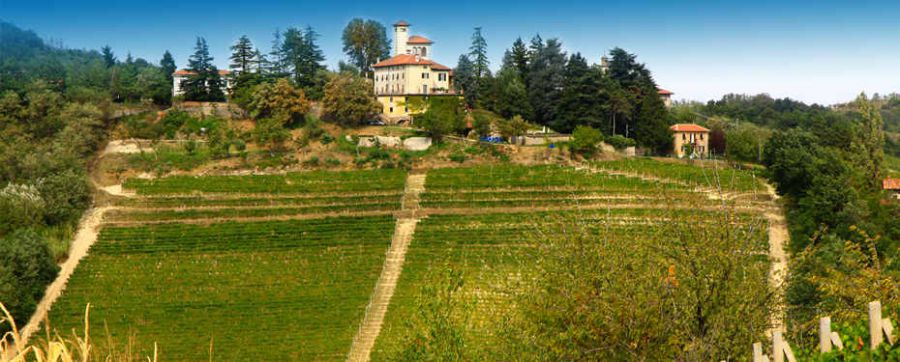 “Sorgentedelvino LIVE - vini naturali, tradizione, territorio”