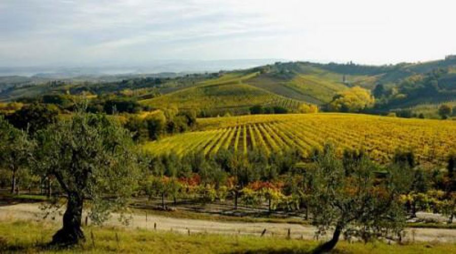 Ecco la Banca delle Terre Agricole