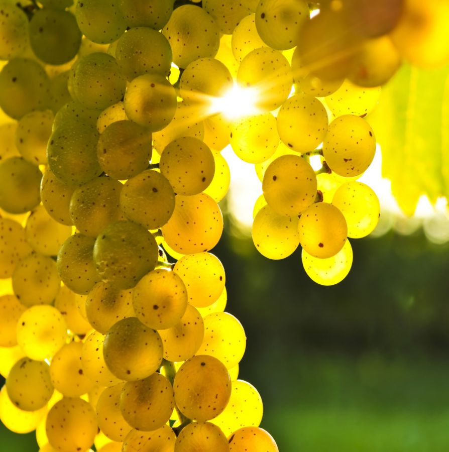 1967-2017: auguri al Franciacorta DOCG