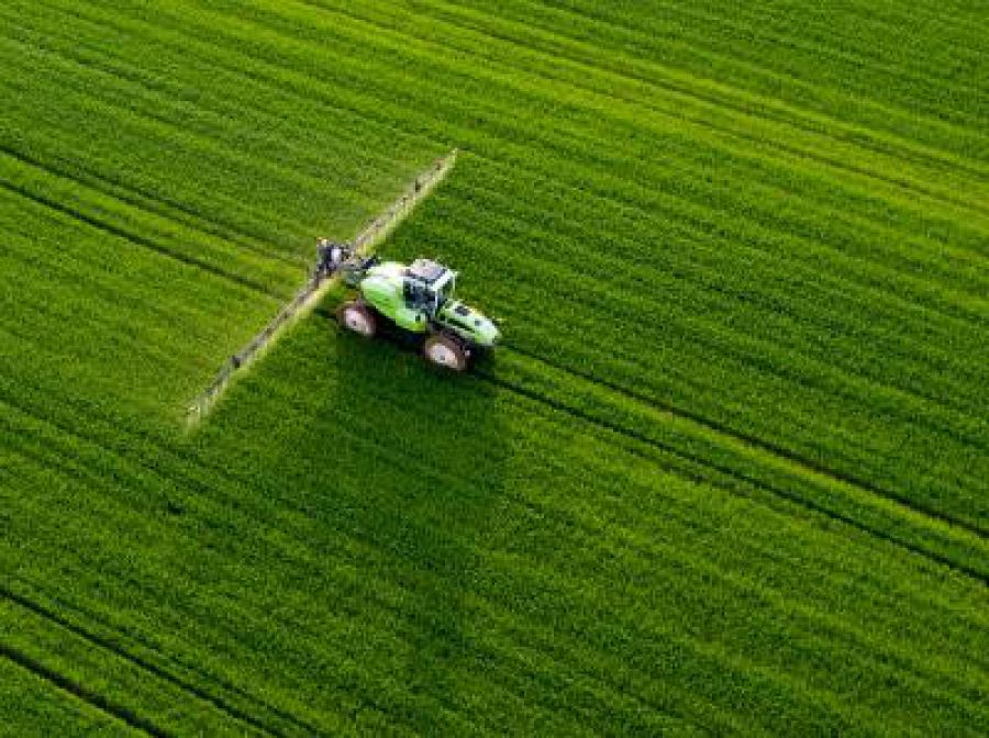 Testo Unico del Vino: filiera compatta e confronto sano per decreti attuativi