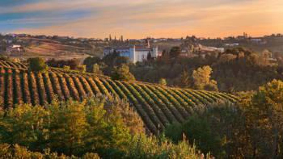 Grandi Langhe Docg dal 2 al 4 aprile