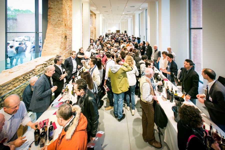 I vini dell’Alto Piemonte svelati alla stampa e al grande pubblico