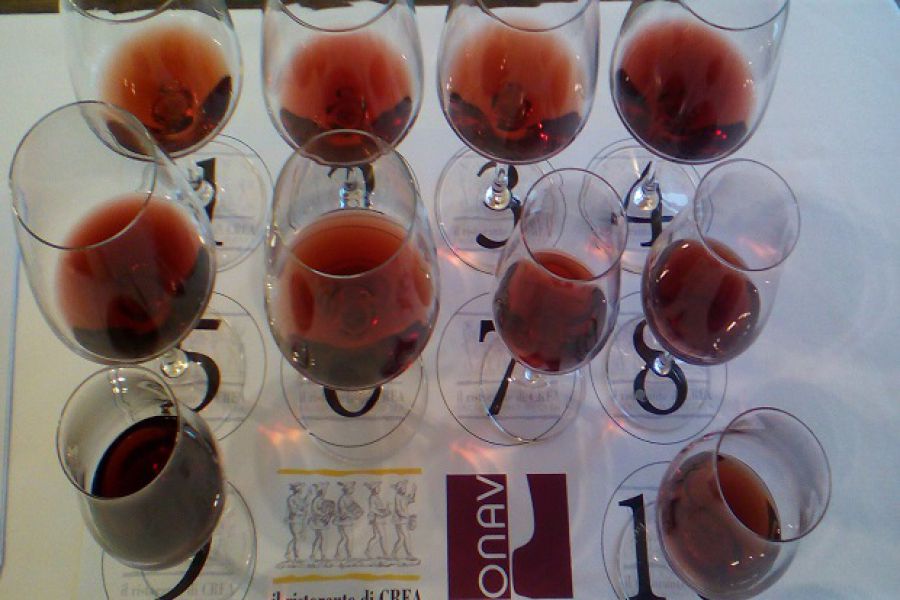 Il vino, un'emozione multisensoriale