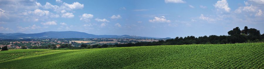 Restyling per Cantine del Chianti