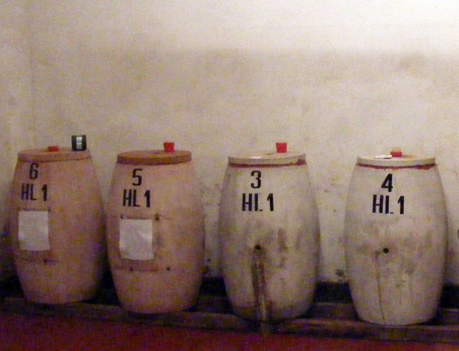 In cantina il “cocciopesto” biocompatibile