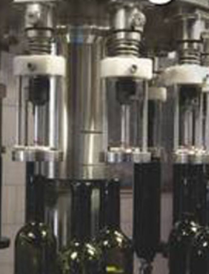Tecnologia e competitività del settore vitivinicolo