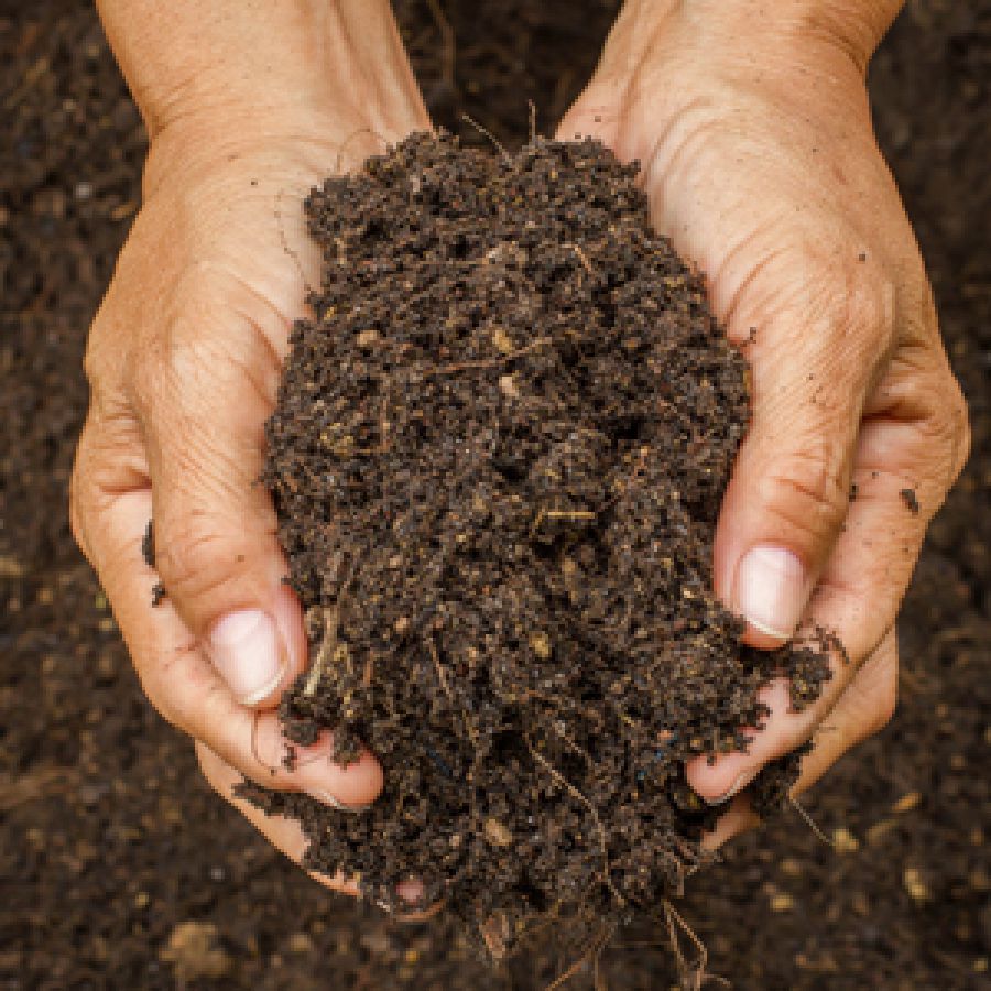Biowaste, una filiera virtuosa al servizio del paese e dell' ambiente