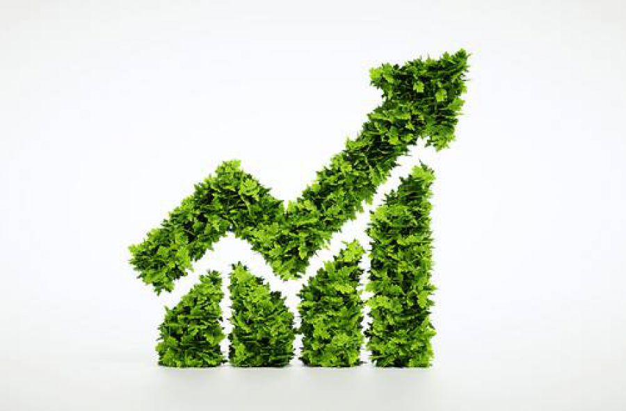 Mi Ambiento: più eco alla sostenibilità