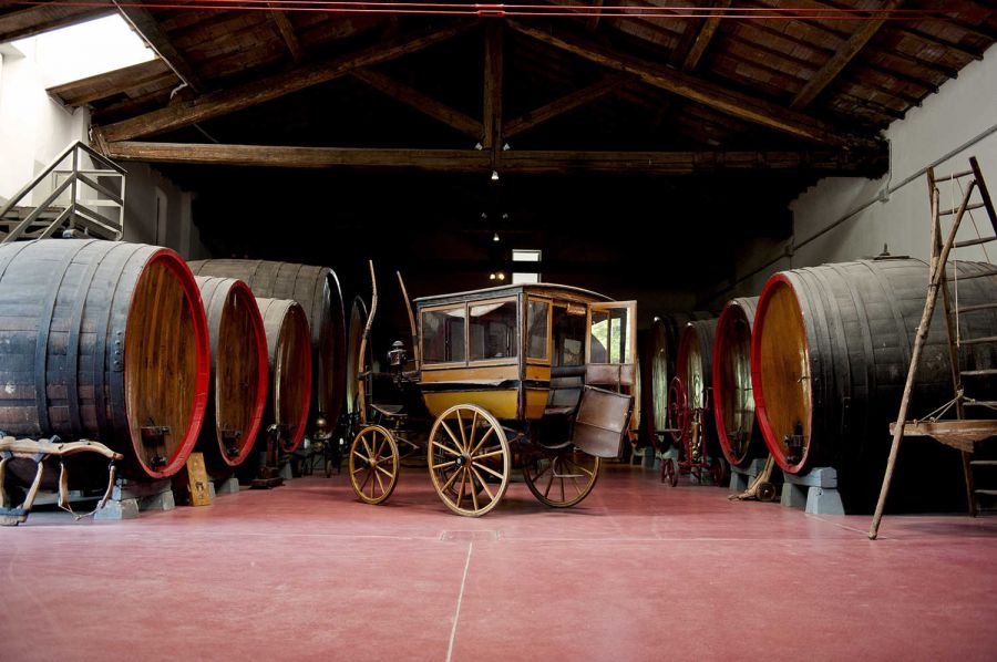 Cantine Aperte a Gavioli Antica Cantina