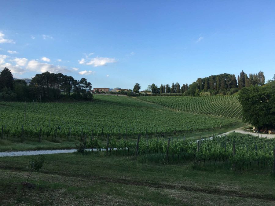 Elementi di vita, l'arte nel pane e nel vino