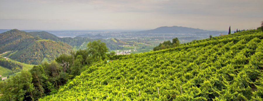 Seconda Giornata del Paesaggio Rurale
