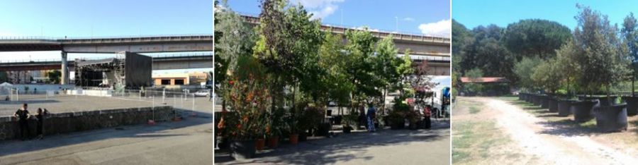 Un “bosco temporaneo” dentro la Capitale