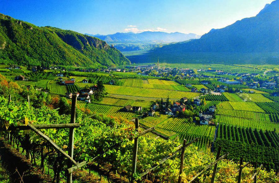 Nasce Alto Adige Wine Summit