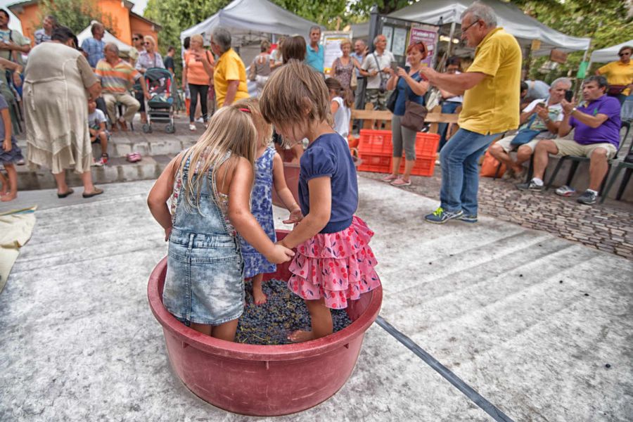 49a Sagra del Vino dei Colli Bolognesi