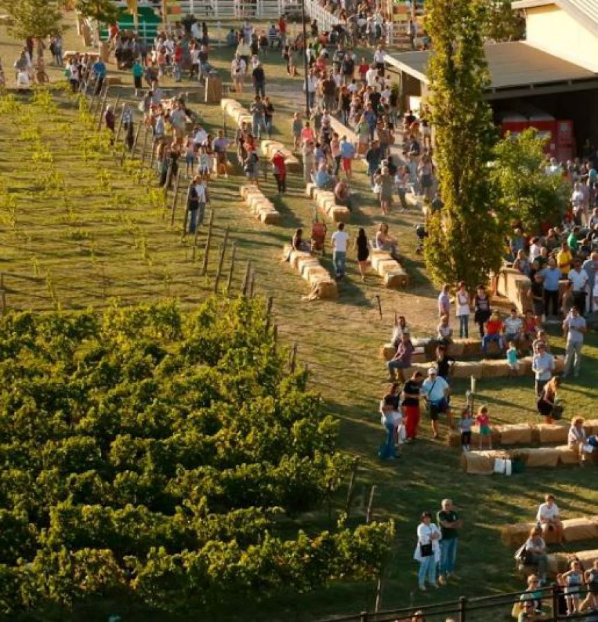 Biodiversità agricola a Rural Festival