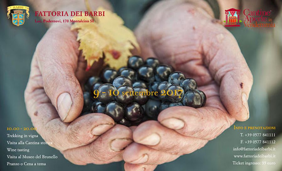 A Montalcino si festeggia la vendemmia