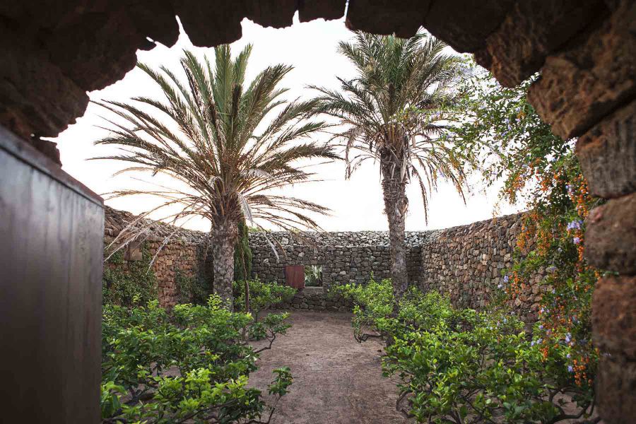 Scoperto il più grande giardino pantesco