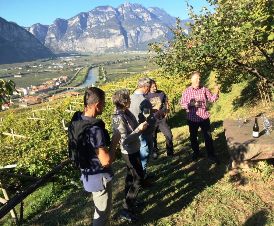 XII edizione di DiVin Ottobre