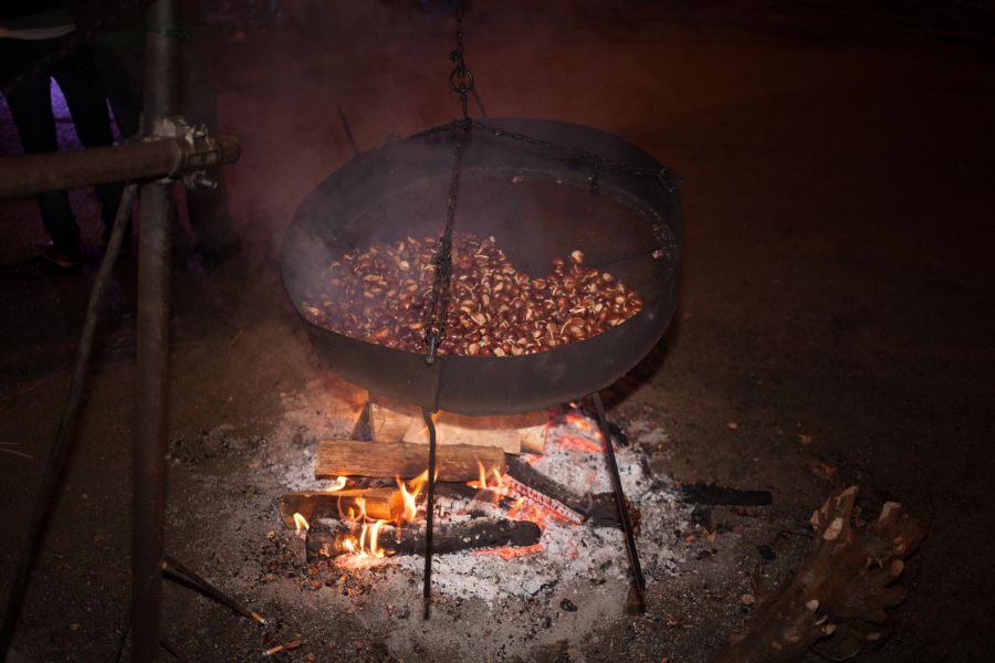 #AmiatAutunno: si viaggia tra castagne e funghi