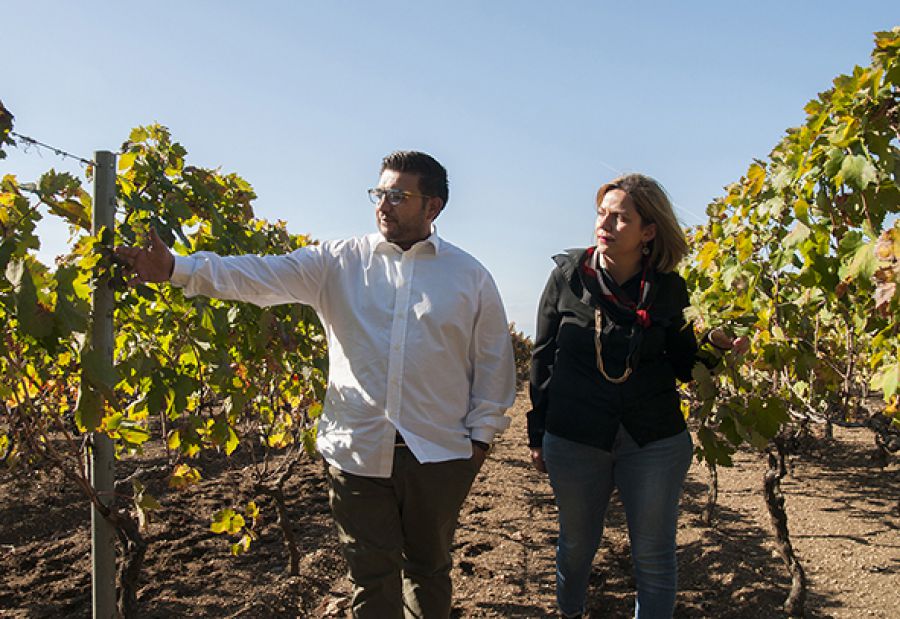 Il vino del Salento sbarca nella Grande Mela
