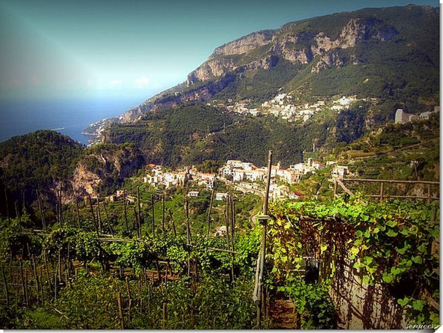 Enoregioni italiane: Costiera Amalfitana