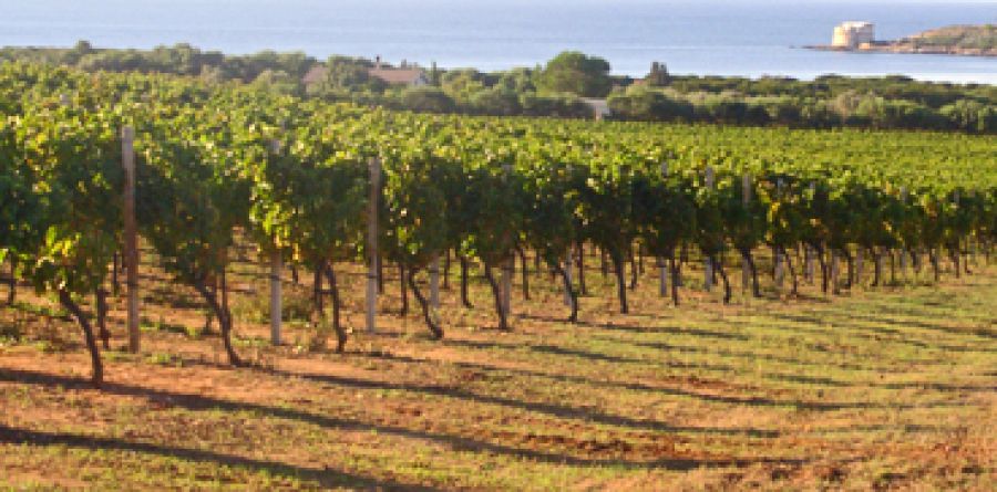 Enoregioni italiane: Costa Nord Occidentale