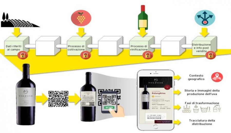 Il vino italiano tra territori e blockchain