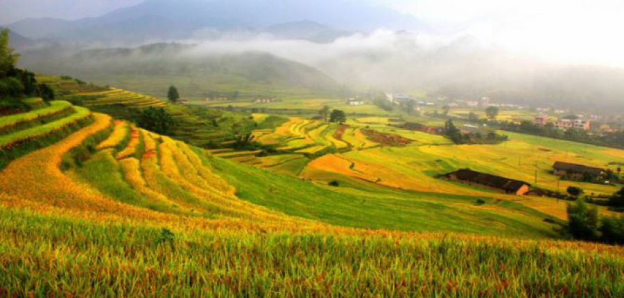 La FAO designa nuovi siti come patrimonio agricolo mondiale