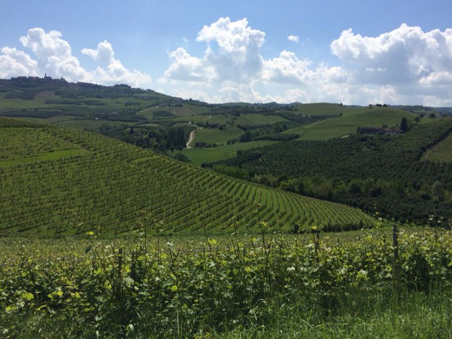 Attraverso Festival. Uomini e storie delle terre di mezzo