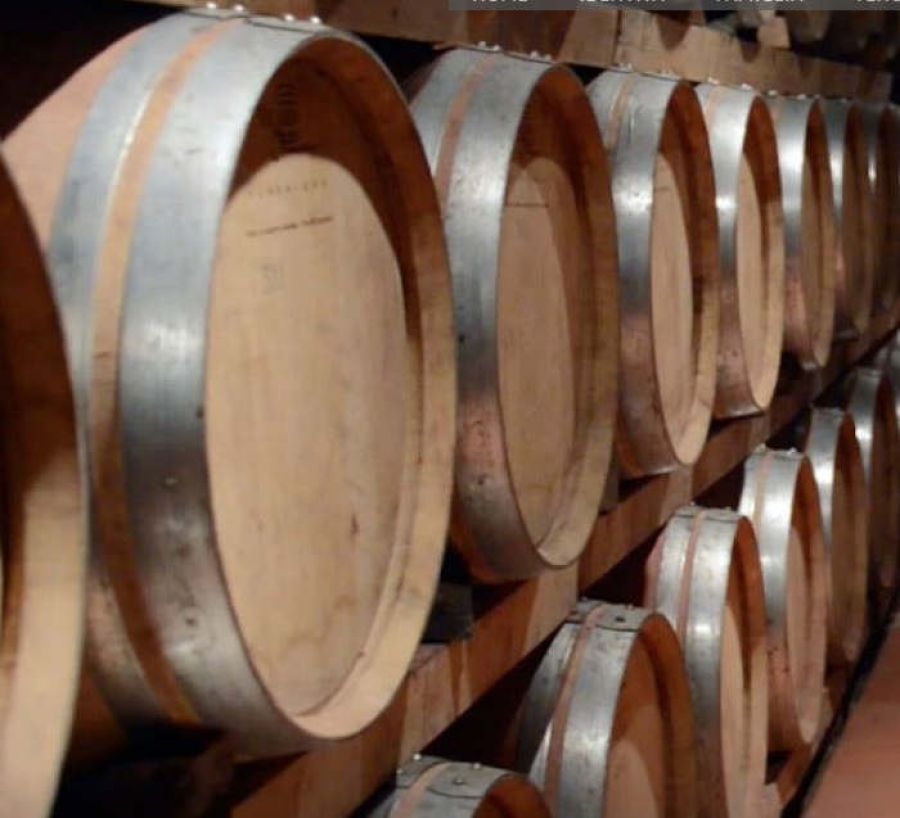 Insieme per la crescita della filiera vitivinicola