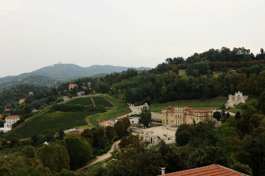 Continua il viaggio tra i vigneti in città