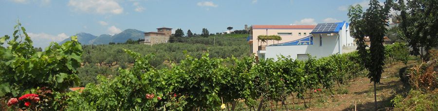 Naturalità è la parola d’ordine