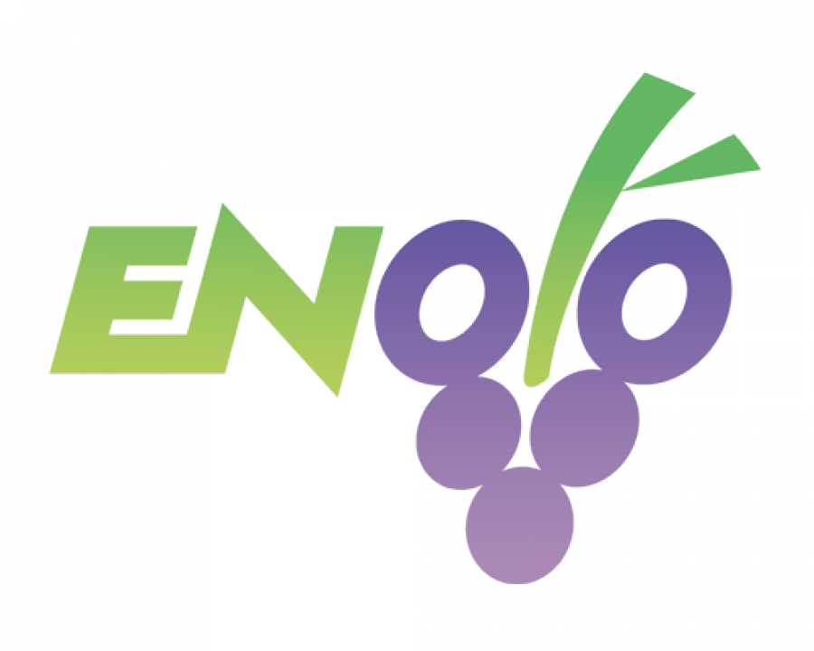 Vinitaly 2019. L'innovazione digitale al servizio del marketing del vino