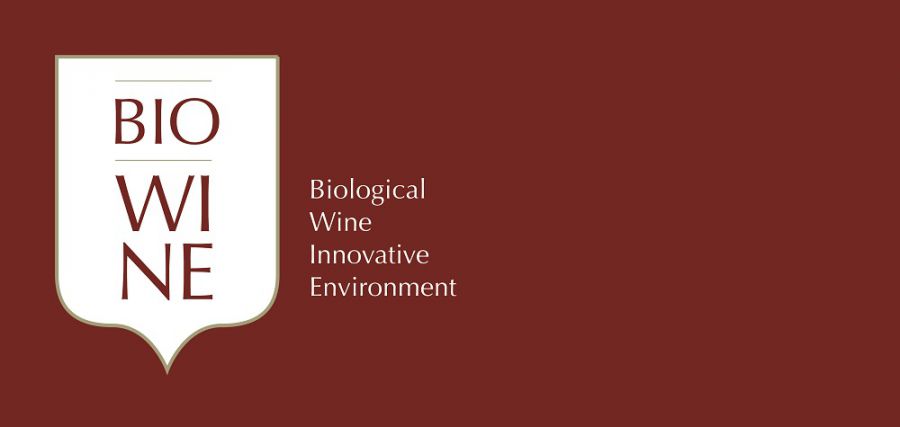 Biowine, buone pratiche per la vite e il suo ambiente