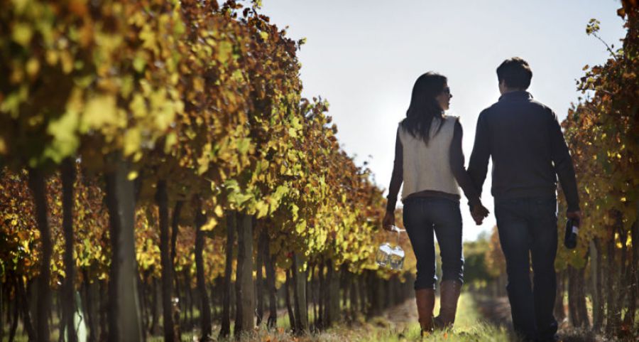 Rapporto sul Turismo del Vino in Italia, compila il questionario
