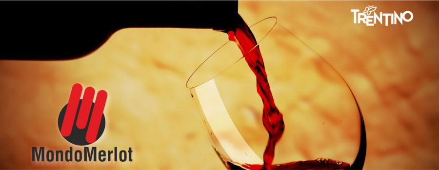 Merlot d'Italia a confronto al concorso nazionale di