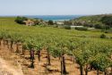Abruzzo, Premio giornalistico internazionale Words Of Wine