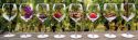 Viaggiatori del vino, istruzioni per l'uso