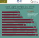 I bilanci delle aziende italiane del vino