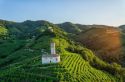 Il vino è cultura italiana