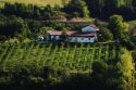 L'atmosfera magica delle nostre colline