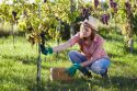 Giovani viticoltori alla scoperta di Cipro: porta della civiltà del vino in Occidente