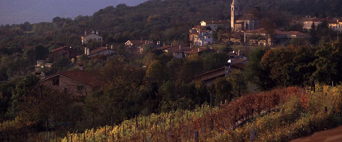 Città del Vino - Una storia lunga 25 anni 