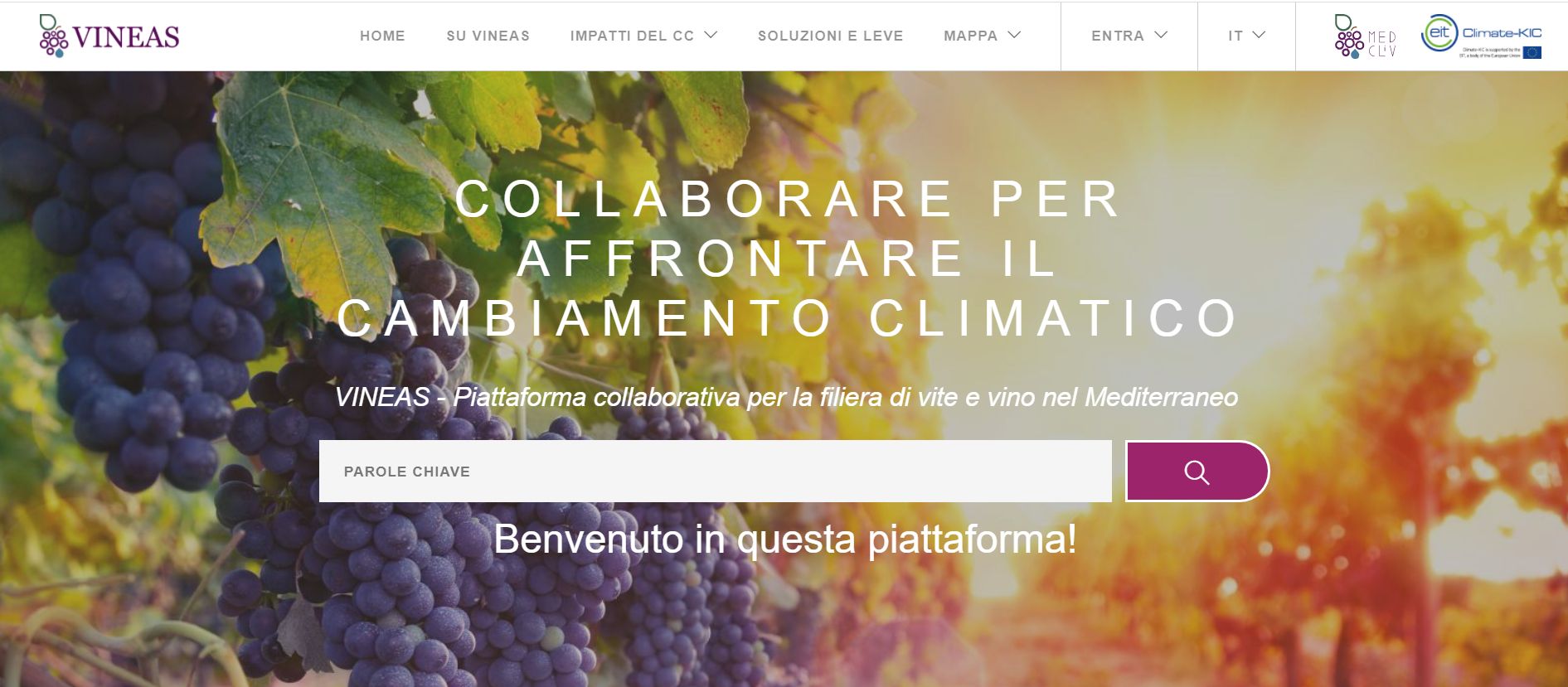 Nasce VINEAS, piattaforma web che unisce attori e progetti dell'Europa mediterranea sulla filiera vite-vino